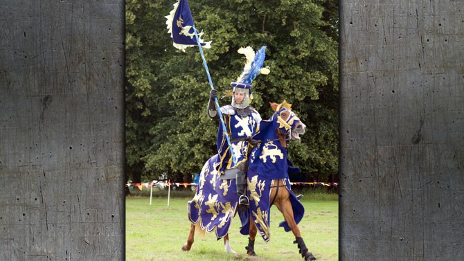 Blue-Knight-lrg