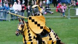 Yellow-Knight-lrg